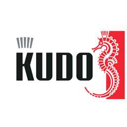 KUDO уже на складе!