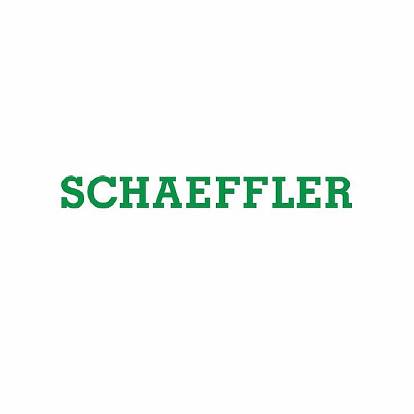 Schaeffler. Вебинар.