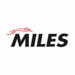 MILES. Вебинар