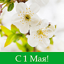 С 1 Мая!