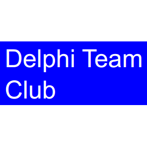 Delphi Team Club – 2 года!