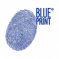Blue Print. Вебинар